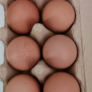 Eggs Free Range